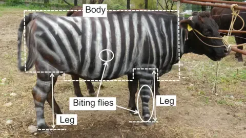 Striped Cattle and Slippery Edibles Win Tongue-in-Cheek Academic Prizes